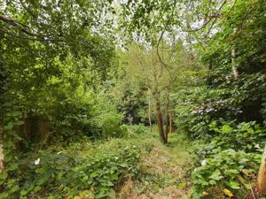 Wooded Garden- click for photo gallery